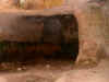 calam6.JPG (106404 bytes)