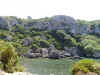 calas2.jpg (128438 bytes)