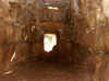 rubisint2.JPG (47062 bytes)