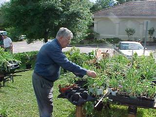 Max arranging plants on the "Dollar Table"