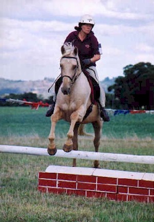 SHARONNOKKI1.jpg (41736 bytes)