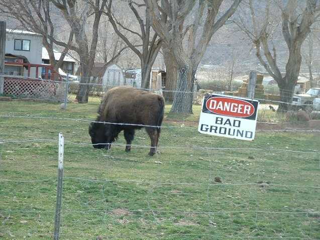 Good Warning Sign