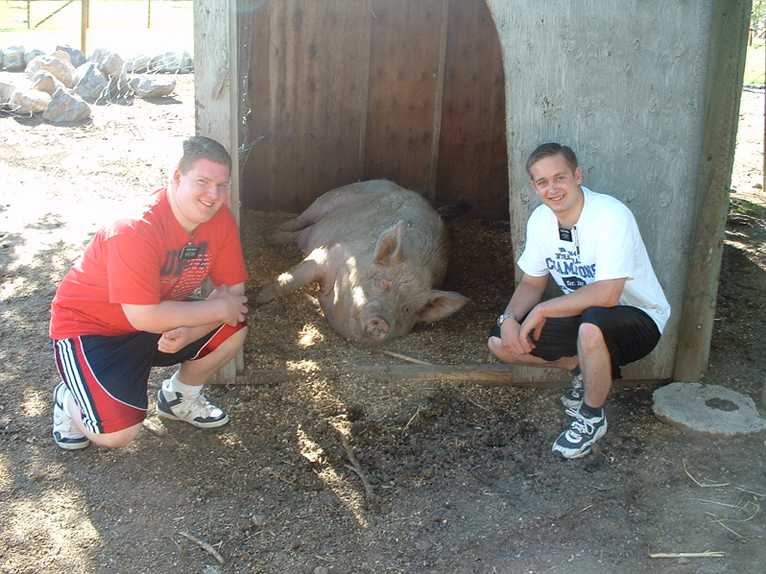 600 Pound Pig