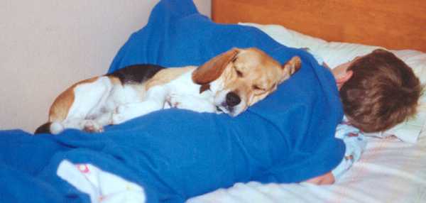 ahh, Lucky, a darn fine dog that one