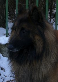 BANDIT Bergerac de Hu