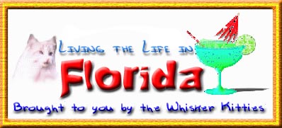 Living the Life in Florida