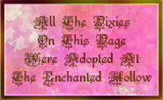 The Enchanted Hollow