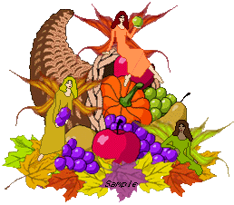 Our Thanksgiving Pixie