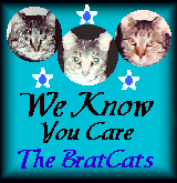 Thank you Brat Cats!
