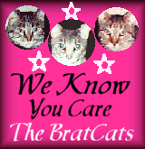 The Brat Cats