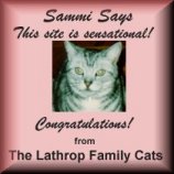 Visit Sammi!
