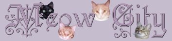 Meow City