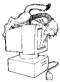 Visit The Internet for Cats! Click here!