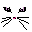 Cat!