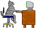 Meow City Supports Higher Education of Cats!