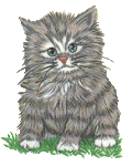 No home is complete without the love of a Cat!