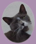 Lucky Bumper! Read His Story!