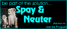Join the Campaign! Spay or Neuter your Pet.
