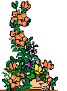 Garden Clip