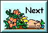 Next Garden Page