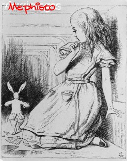 Follow the white rabbit...