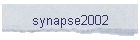 synapse2002