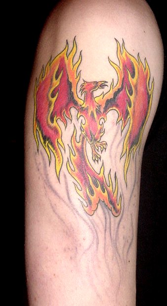 phoenix_tattoo.jpg (338×618) | Phoenix tattoo, Flame tattoos