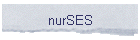 nurSES