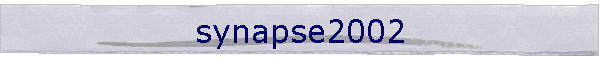 synapse2002