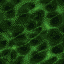 L4.gif (3618 bytes)