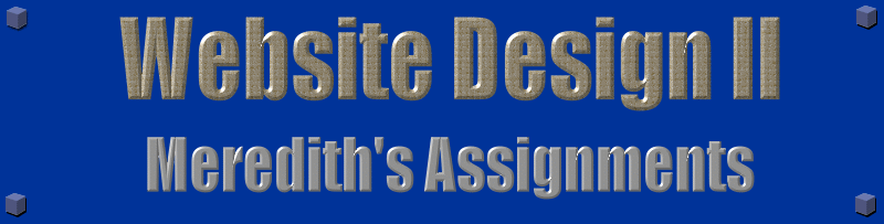 Website Design II