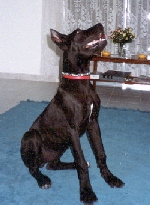 Oza