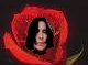 Snape the rose.