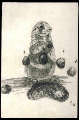 Pencil Drawing&nbsp; (Its a prarie dog and a prarie dog paw print)&nbsp; 