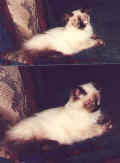 Alena.jpg (58654 Byte)