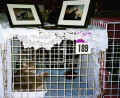 How in the world did I get this rusty cage? Miten ihmeess� minut pantiin n�in ruosteiseen h�kkiin? (65195 Byte)