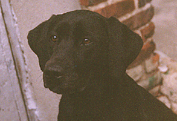 {Another great photo of Cassie...}