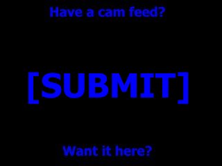 SUBMIT