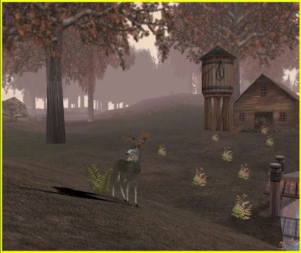 Deer Hunter 5