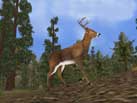 Field and Stream Trophy Hunting 5