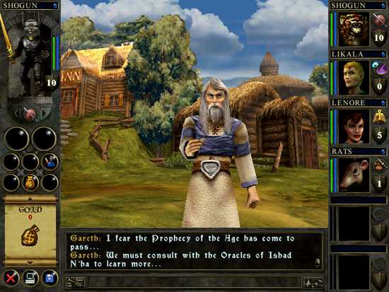Wizards and Warriors