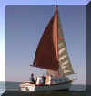OOPS under sail.JPG (62270 bytes)