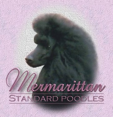 Mermarittan Poodles