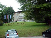 A Wedding Party outside the Municipal Building, Bled 