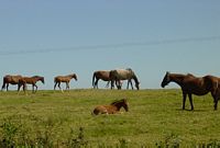 This photo was taken by my Brother-in-law whilst on holiday in Co Down, N. Ireland