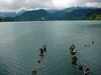 St Mary's Church on the island viewed across Lake Bled