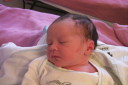 Picture 015t.JPG