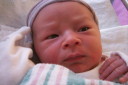 Picture 038t.JPG