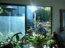 DSCN3723t.JPG