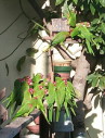 1_023t.JPG